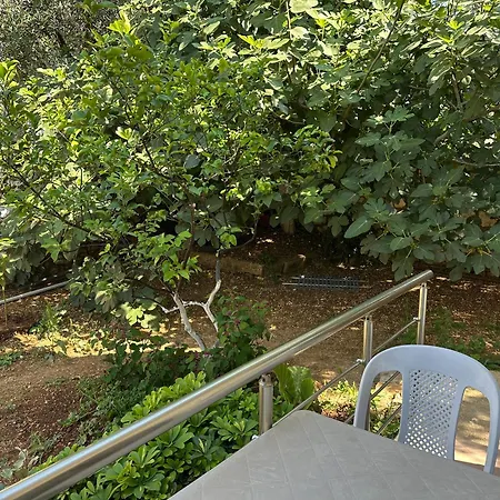 Apartamento Meleqi *
